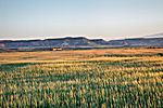 Las Bardenas Reales, Navarra