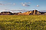 Las Bardenas Reales, Navarra