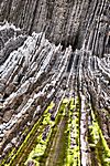 Flysch, Zumaia, Gipuzkoa