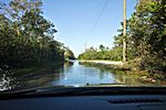 Old Loop Road, Everglades, Florida