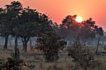 Südluangwa Nationalpark, Zambia