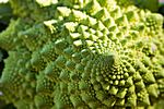 Fraktale und Fibonacci