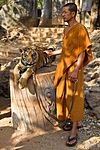 Wat Pa Luangta - Tigertempel, Kanchanaburi