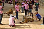 Wat Pa Luangta - Tigertempel, Kanchanaburi