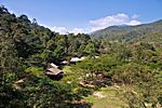 Maesa Elephant Camp, Chiang Mai