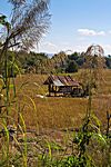 Zwischen Chiang Mai und Sukothai