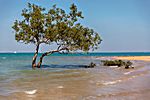 Fannie Bay, Darwin